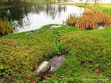 Замковый ручей, image of landscape/habitat.