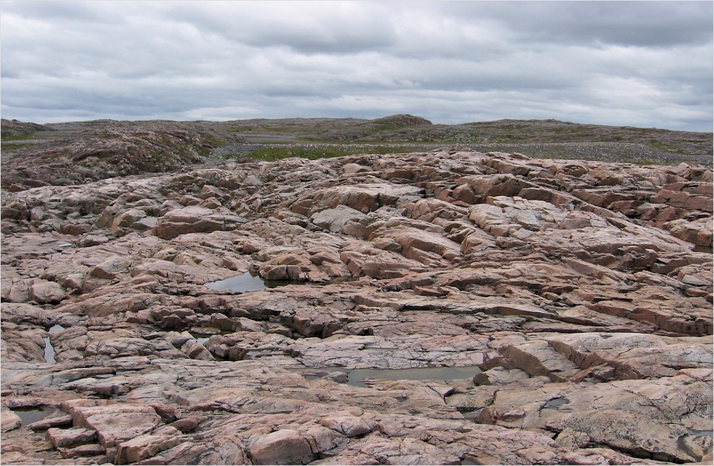 Губа Широкая, image of landscape/habitat.