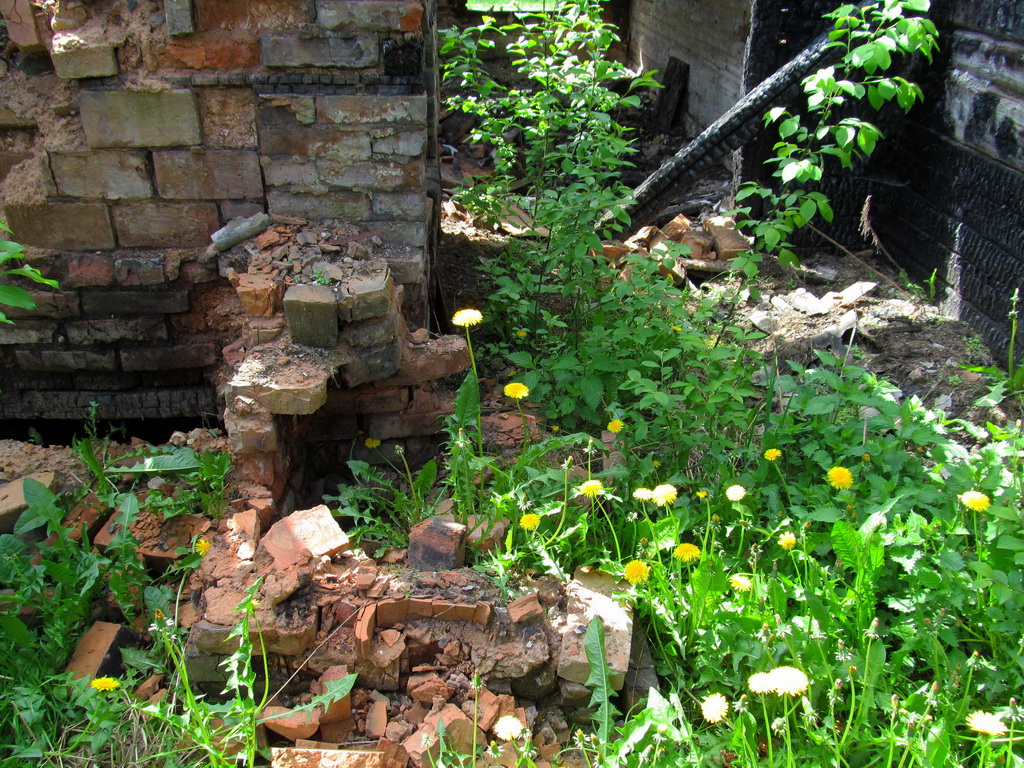 Романюки, image of landscape/habitat.