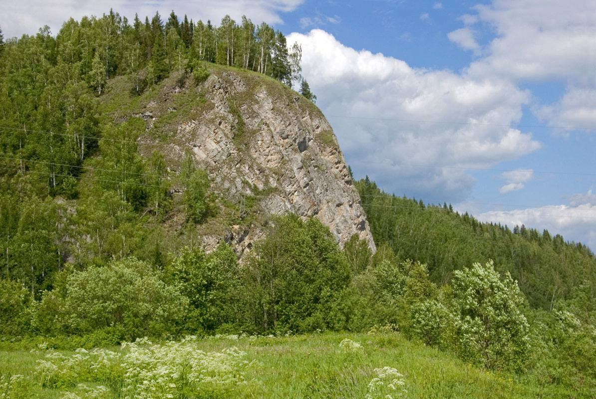 Окрестности деревни Коновалова, image of landscape/habitat.