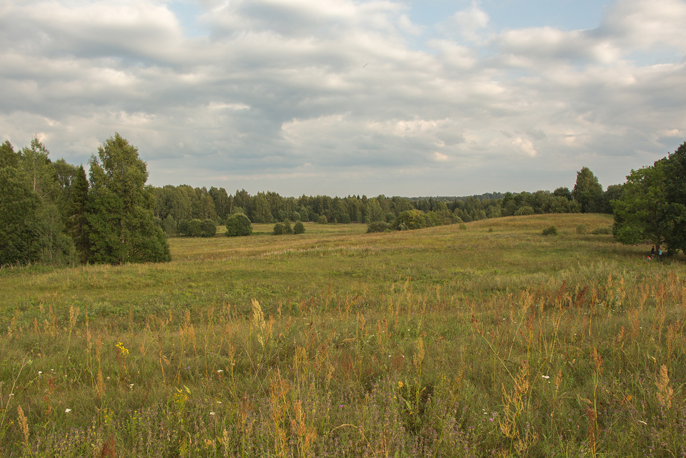 Озеро Наговье, image of landscape/habitat.