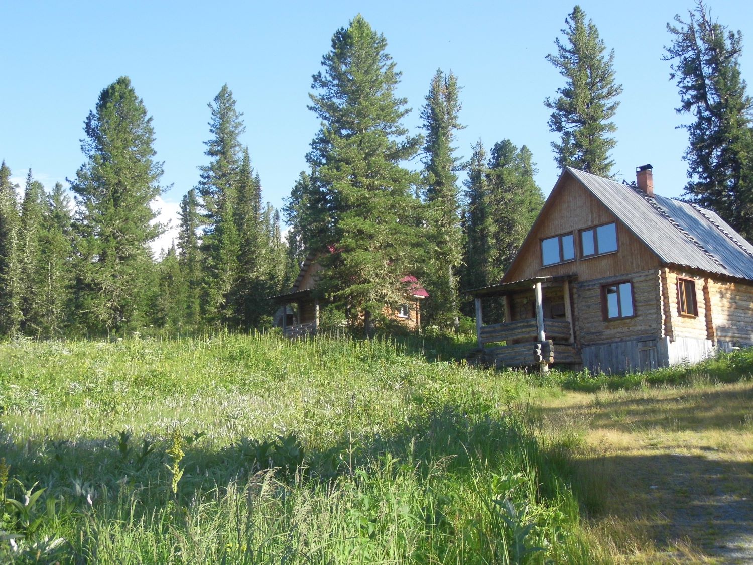 Тропа сибирского охотника, image of landscape/habitat.