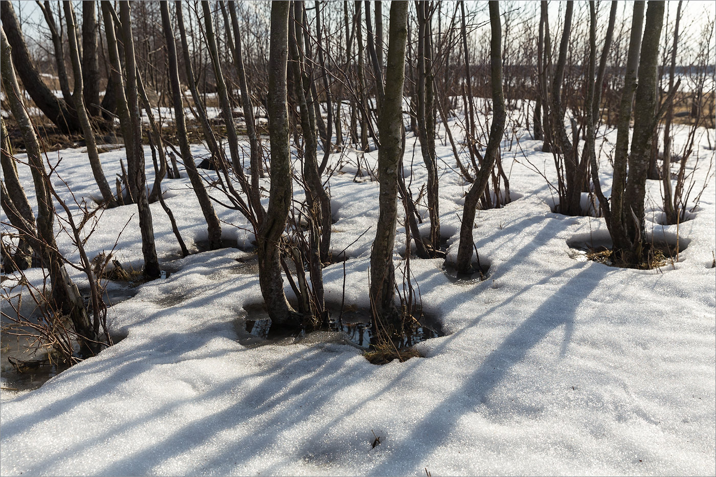 Шепелёвский маяк, image of landscape/habitat.