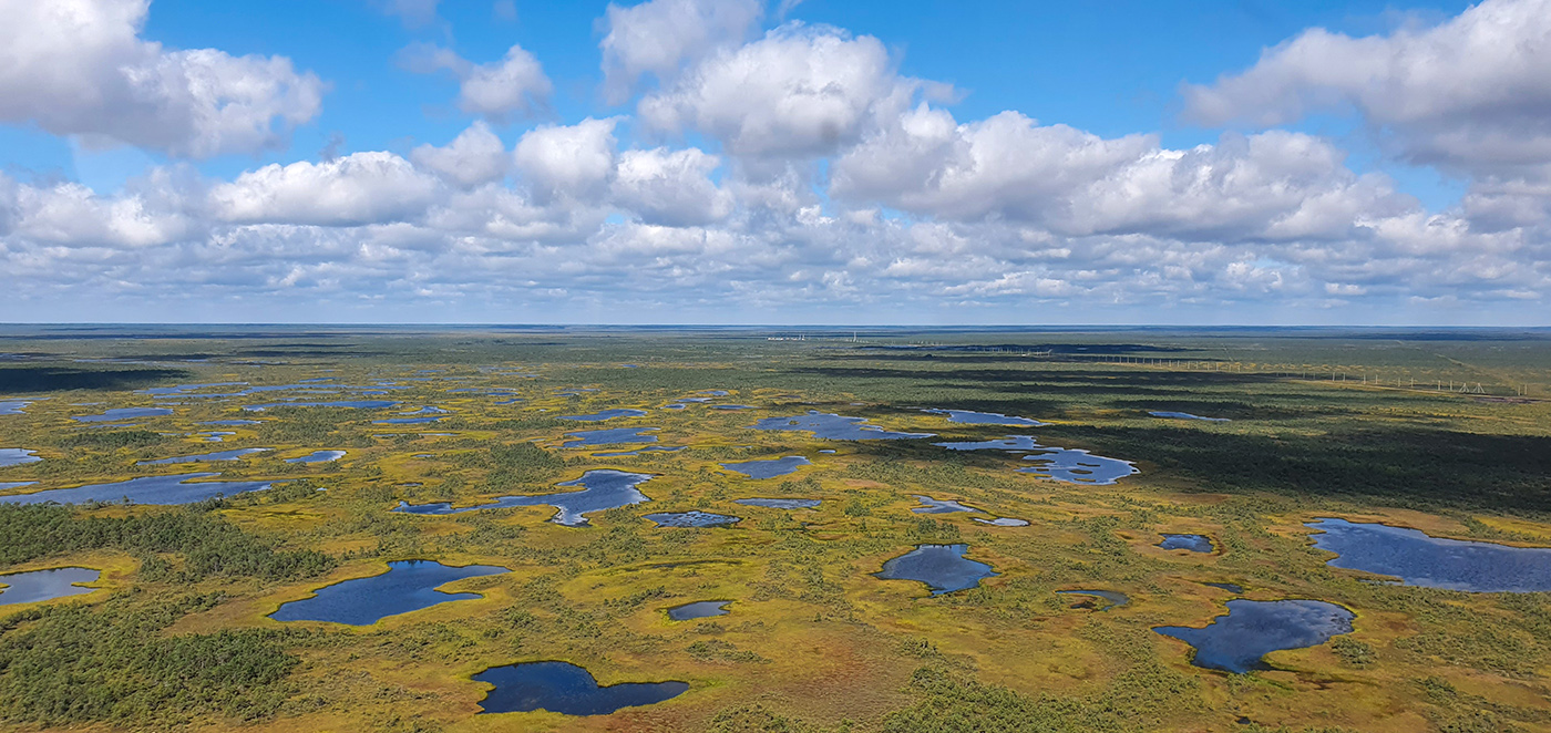 Васюганское болото, Болтное, image of landscape/habitat.