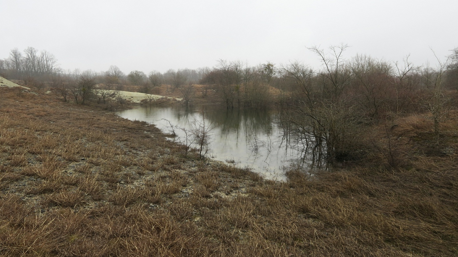 Озерцо на дне карьера, image of landscape/habitat.