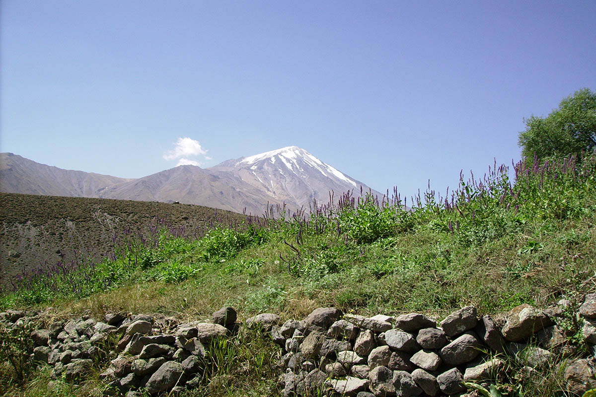 Дамавенд, image of landscape/habitat.