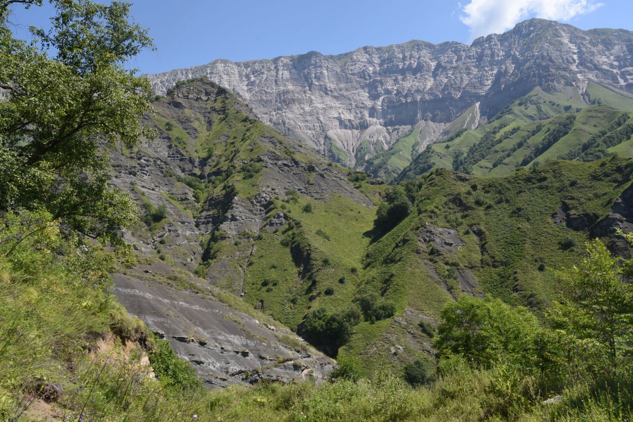 Старый дом Мухтара, image of landscape/habitat.
