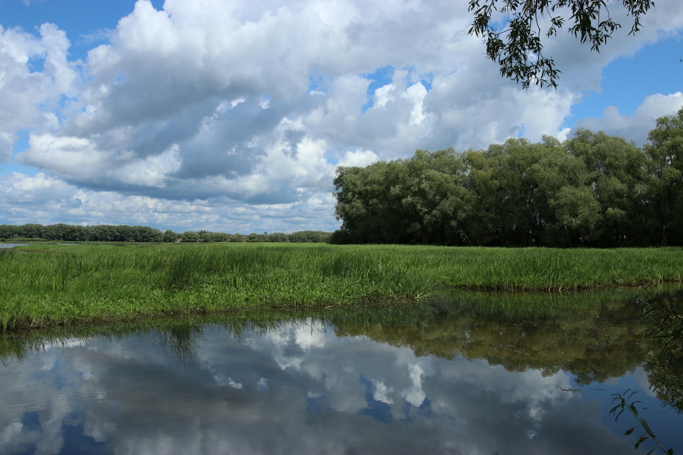 Окрестности музея «Витославлицы», image of landscape/habitat.