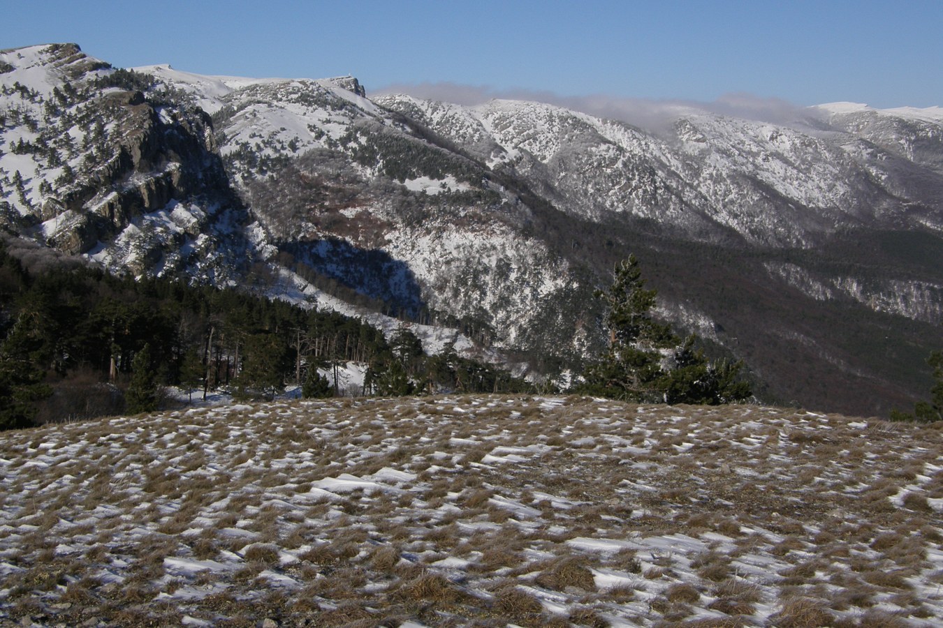 Ялтинская яйла, изображение ландшафта.