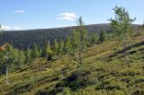 Мань-Пупунёр, image of landscape/habitat.