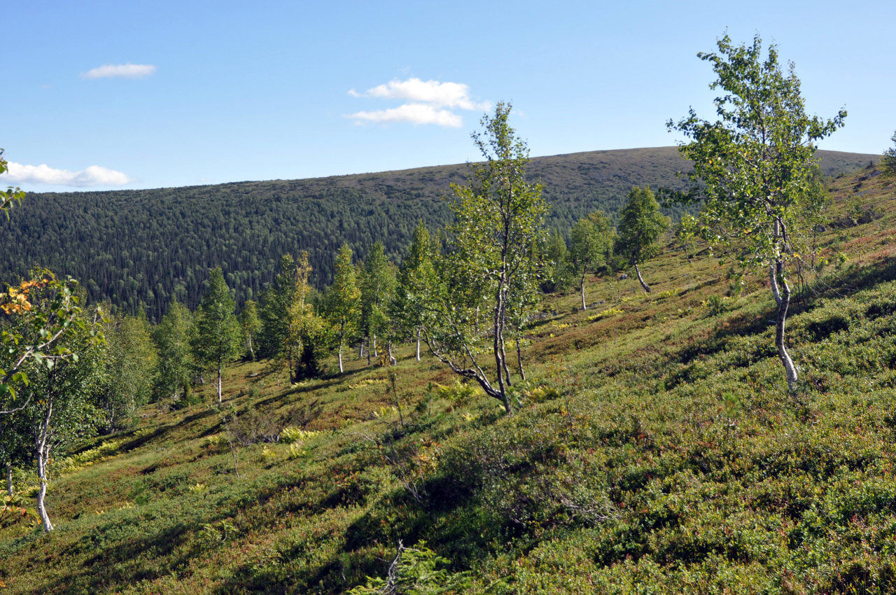 Мань-Пупунёр, image of landscape/habitat.