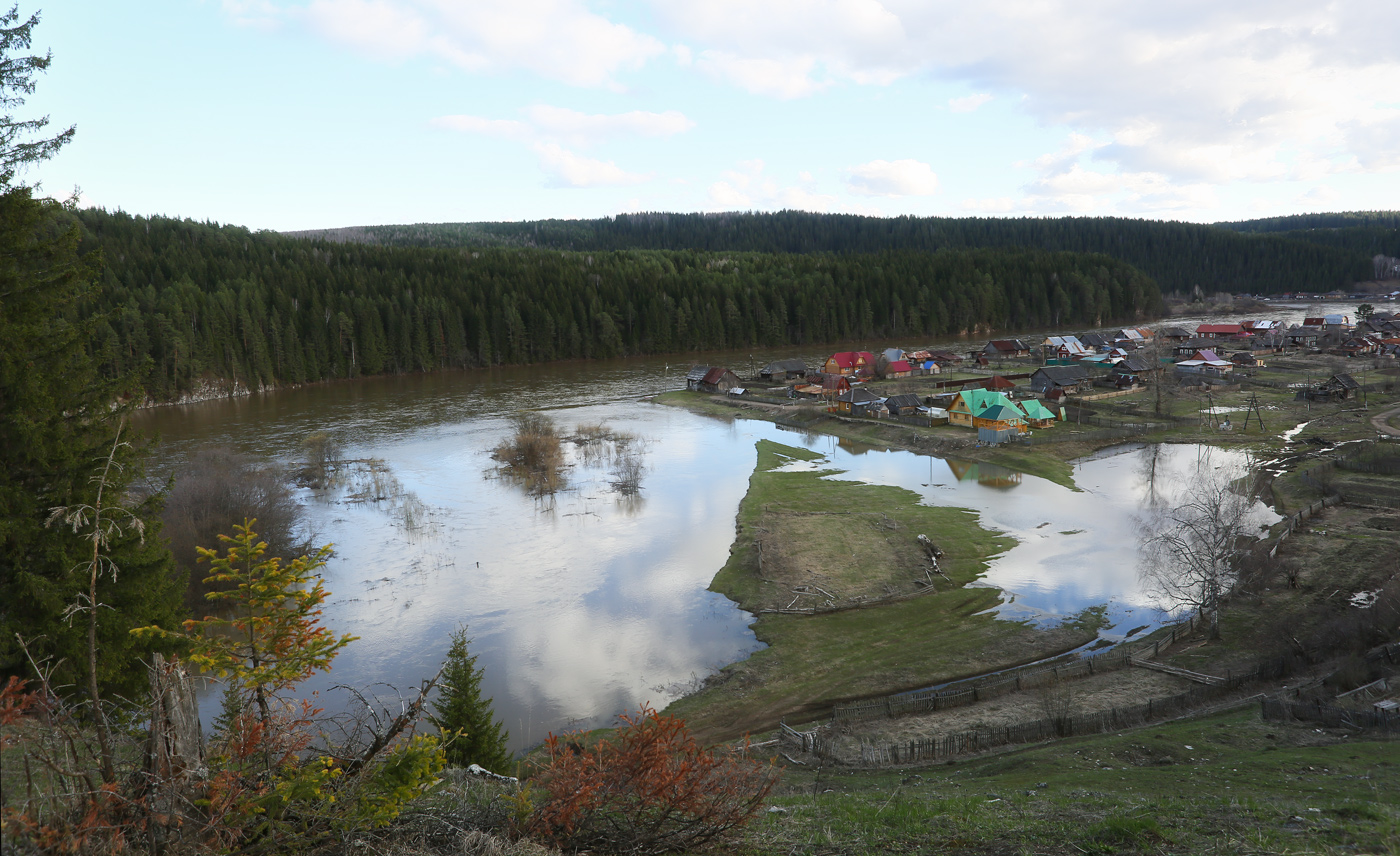 Кын и его окрестности, image of landscape/habitat.