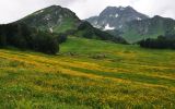 Перевал Пыв, image of landscape/habitat.