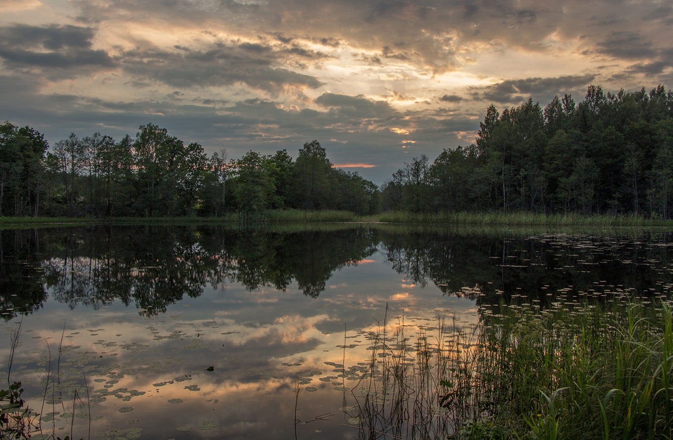 Озеро Наговье, изображение ландшафта.