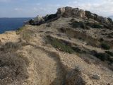Image of landscape