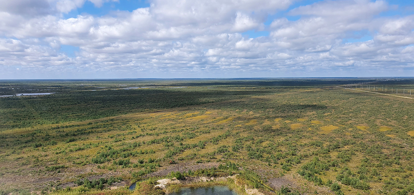 Васюганское болото, Болтное, image of landscape/habitat.