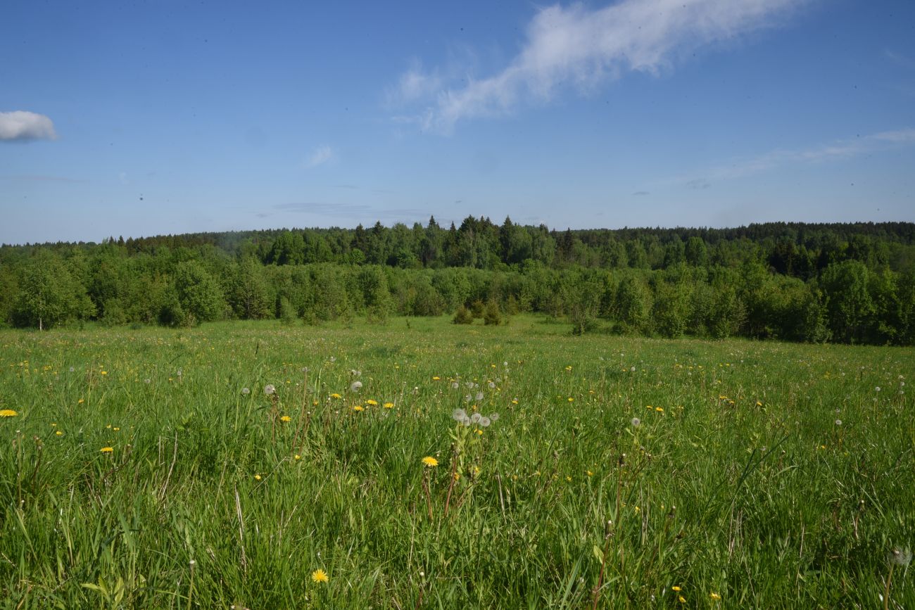 Окрестности деревни Семичёво, image of landscape/habitat.