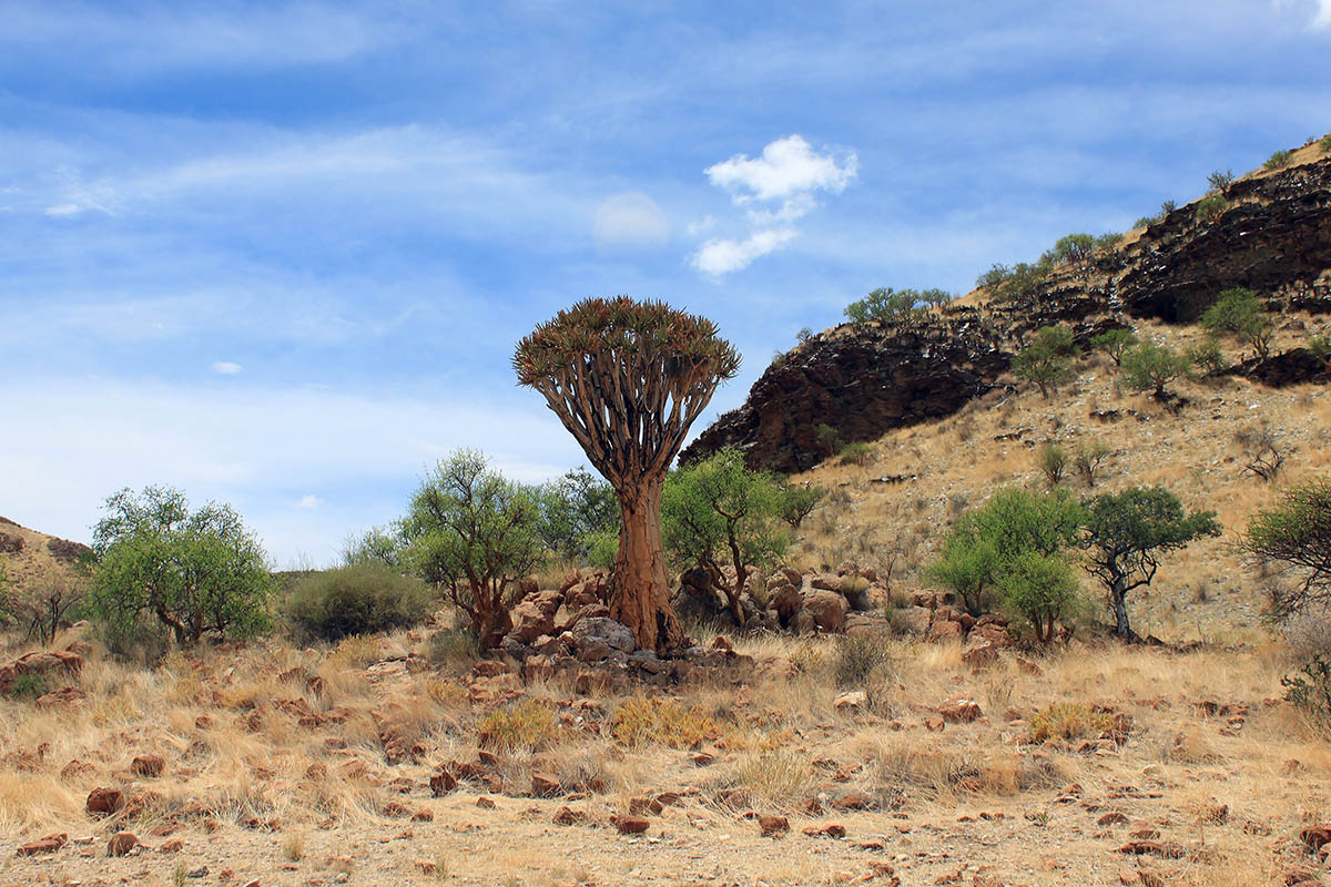 Гамсберг, image of landscape/habitat.