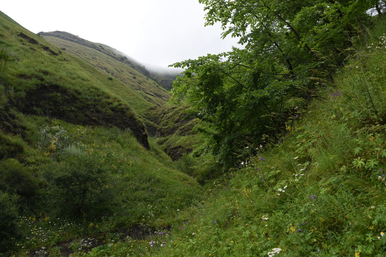 Урочище Хяни, image of landscape/habitat.