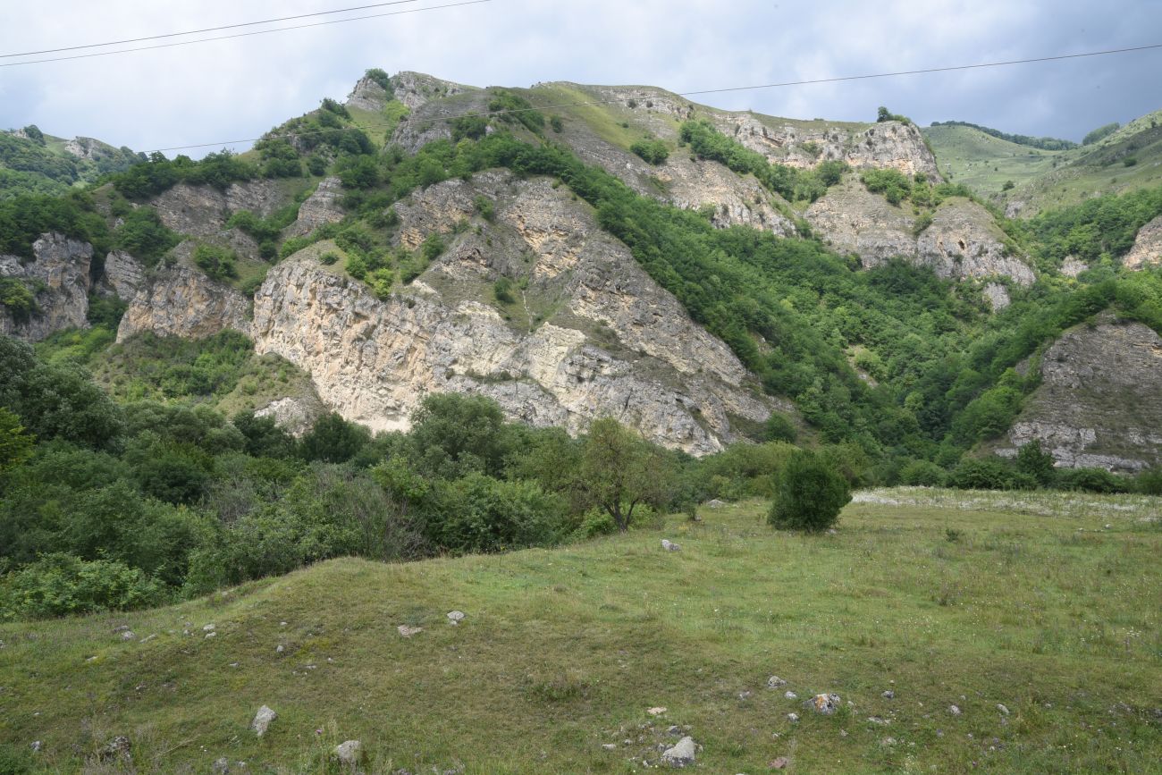 Устье реки Бедык, image of landscape/habitat.