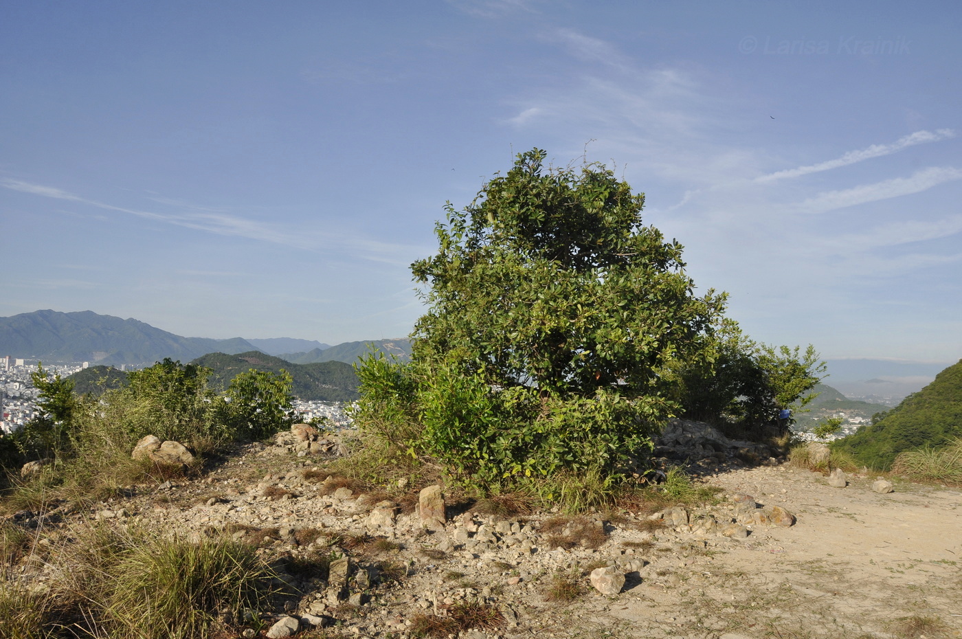 Гора Ангелов (Co Tien), image of landscape/habitat.
