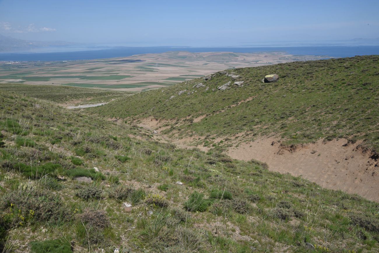 Сырт Магара, image of landscape/habitat.