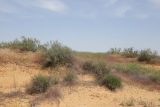 Image of landscape