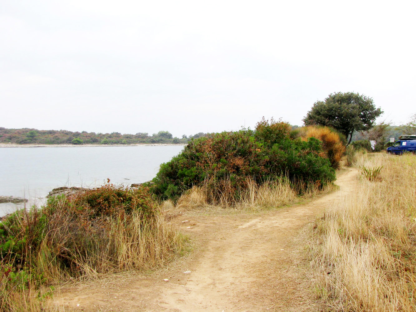 Баньоле, image of landscape/habitat.