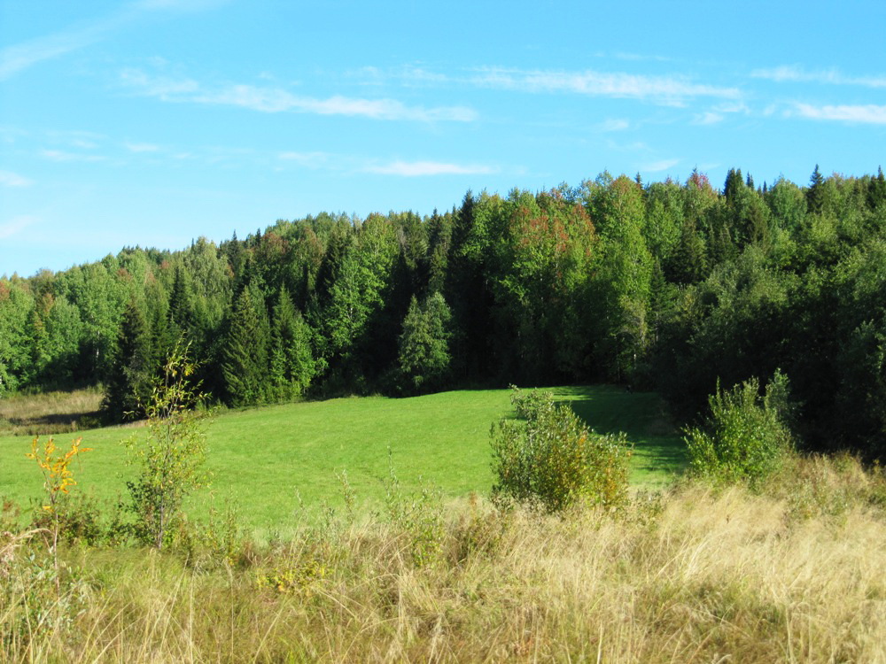 Серёгово, image of landscape/habitat.