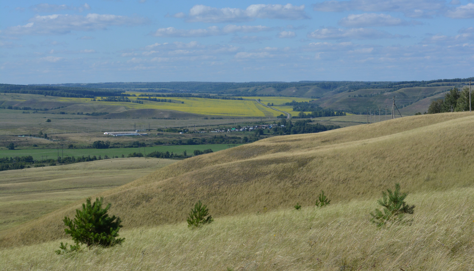 Райлан, image of landscape/habitat.