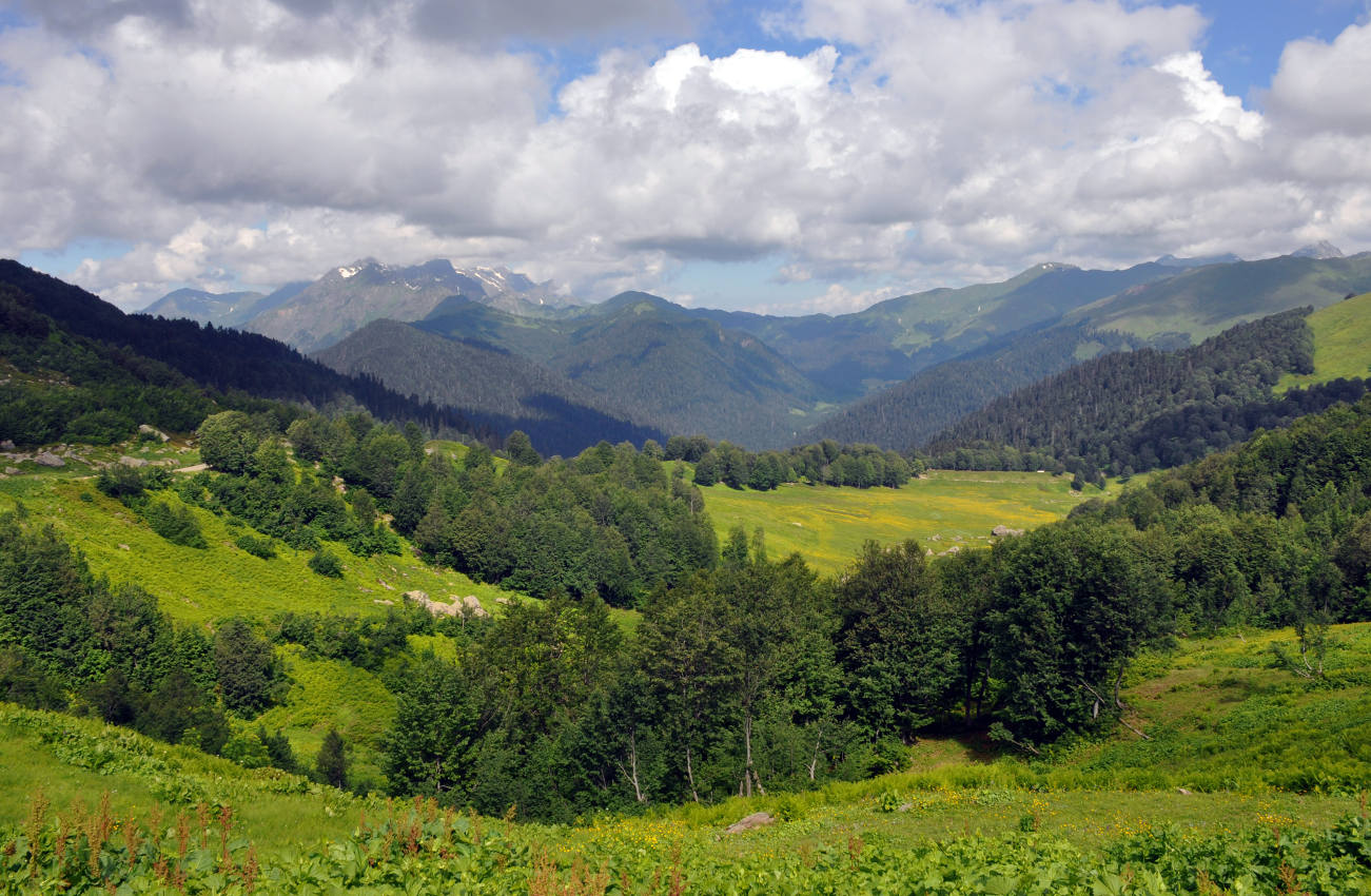 Перевал Пыв, image of landscape/habitat.