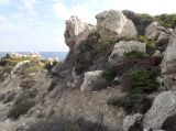 Image of landscape