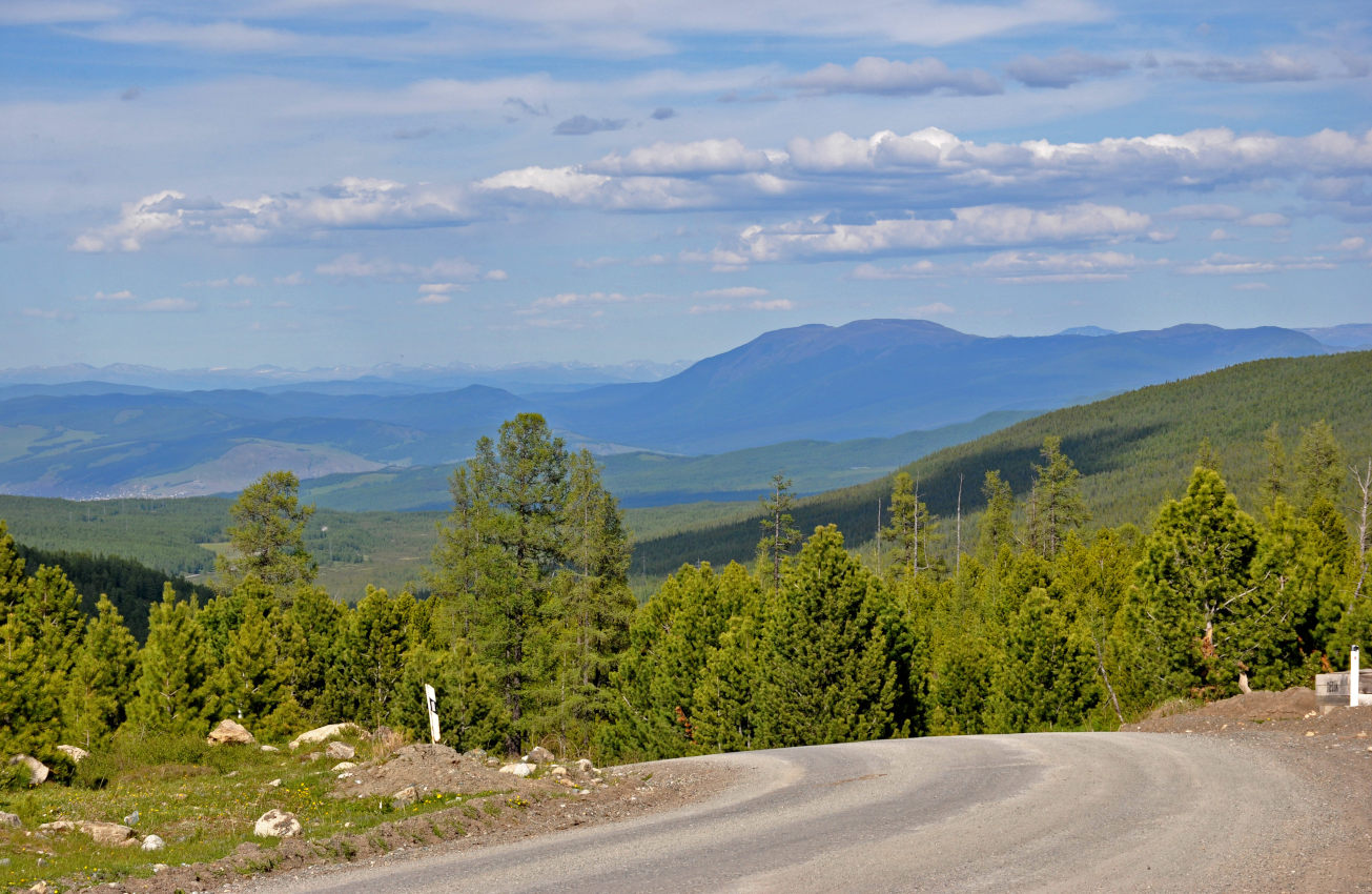 Улаганский перевал, image of landscape/habitat.