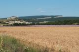 Холмовка, image of landscape/habitat.