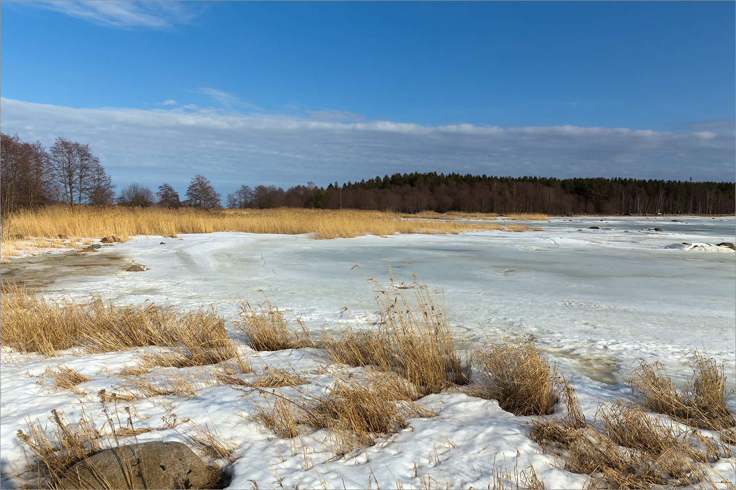 Батарейная бухта, image of landscape/habitat.