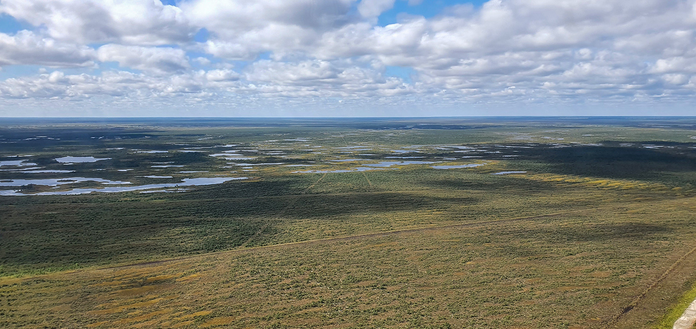 Васюганское болото, Болтное, image of landscape/habitat.