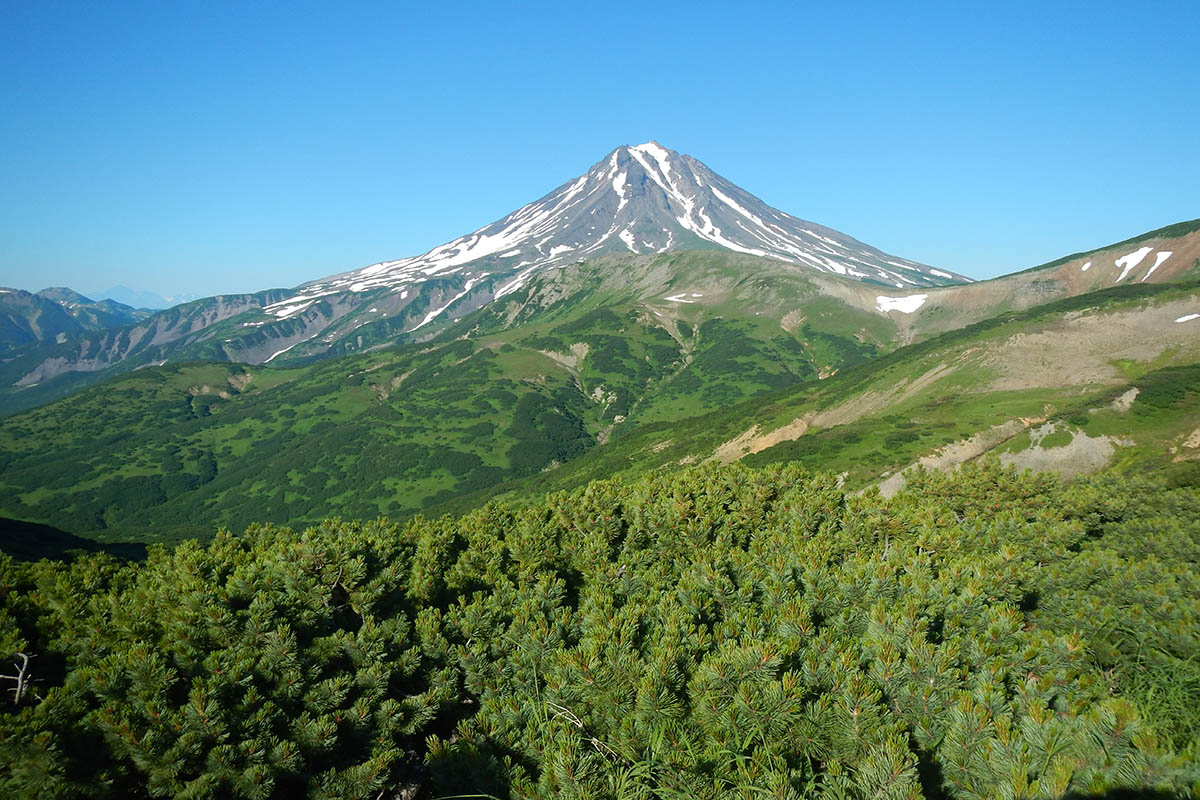 Вилючинский перевал, image of landscape/habitat.