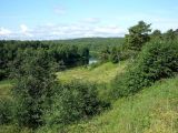 Image of landscape