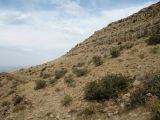 Image of landscape