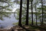 Image of landscape