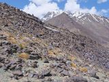 Image of landscape