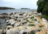 Image of landscape
