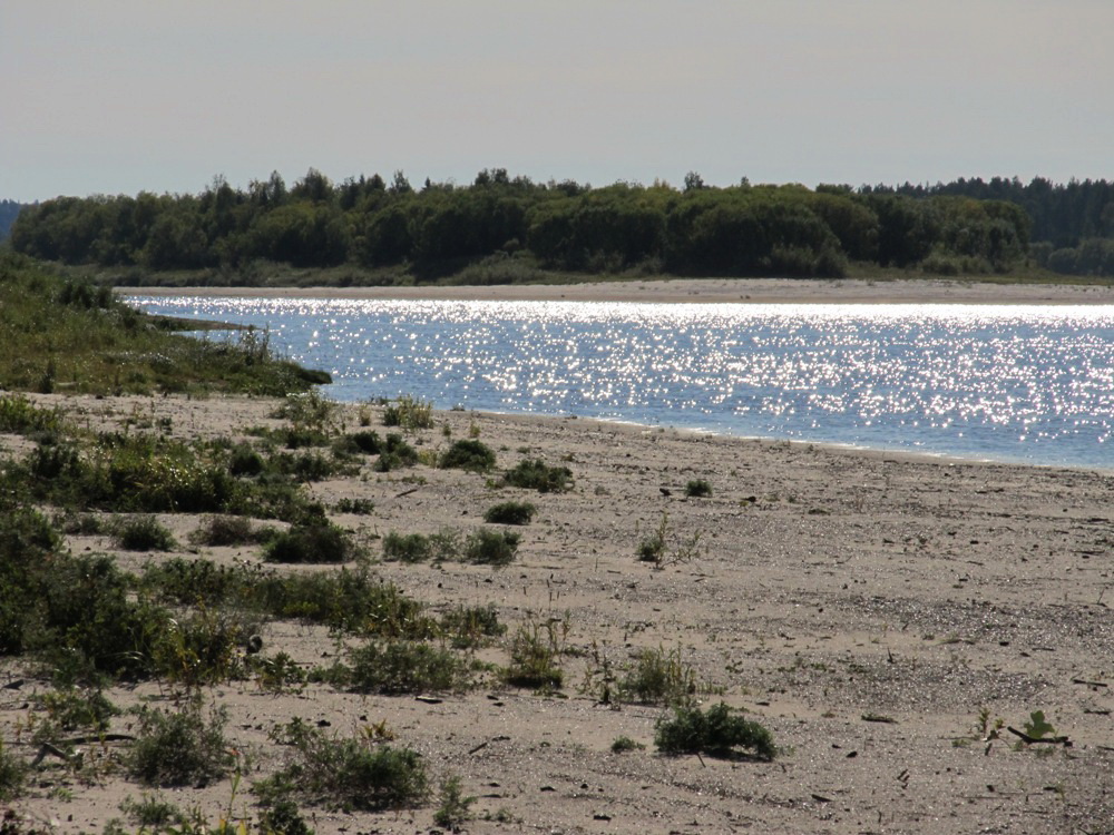 Серёгово, image of landscape/habitat.