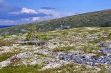 Мань-Пупунёр, image of landscape/habitat.