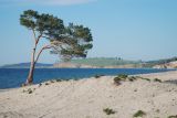 Image of landscape