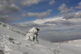 Чатырдаг, image of landscape/habitat.