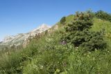 Image of landscape