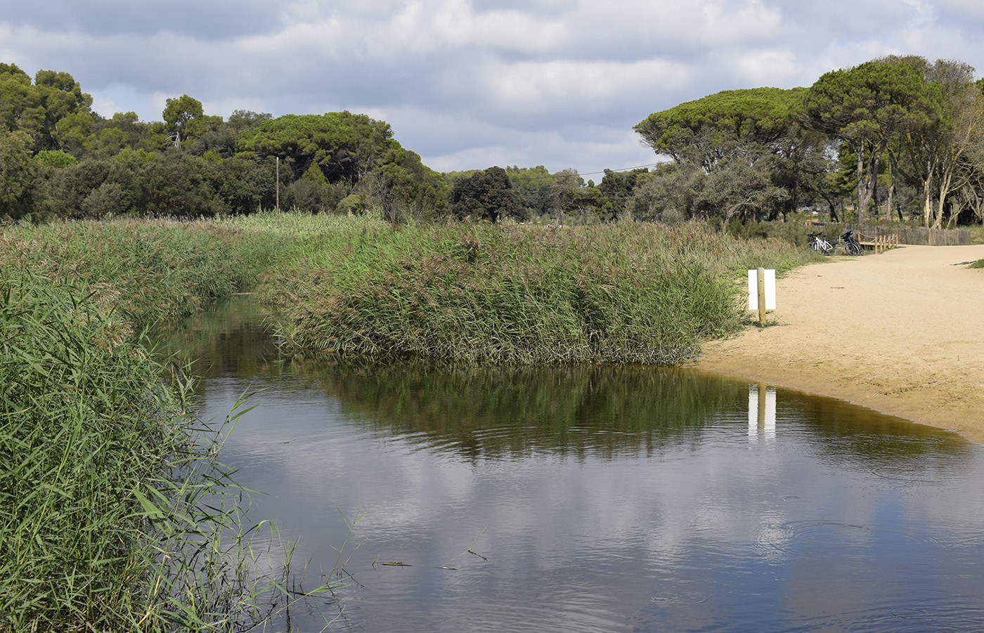 Окрестности Платжа-дель-Кастель, image of landscape/habitat.