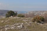 Инкерман, image of landscape/habitat.