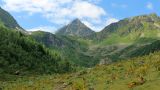 Image of landscape